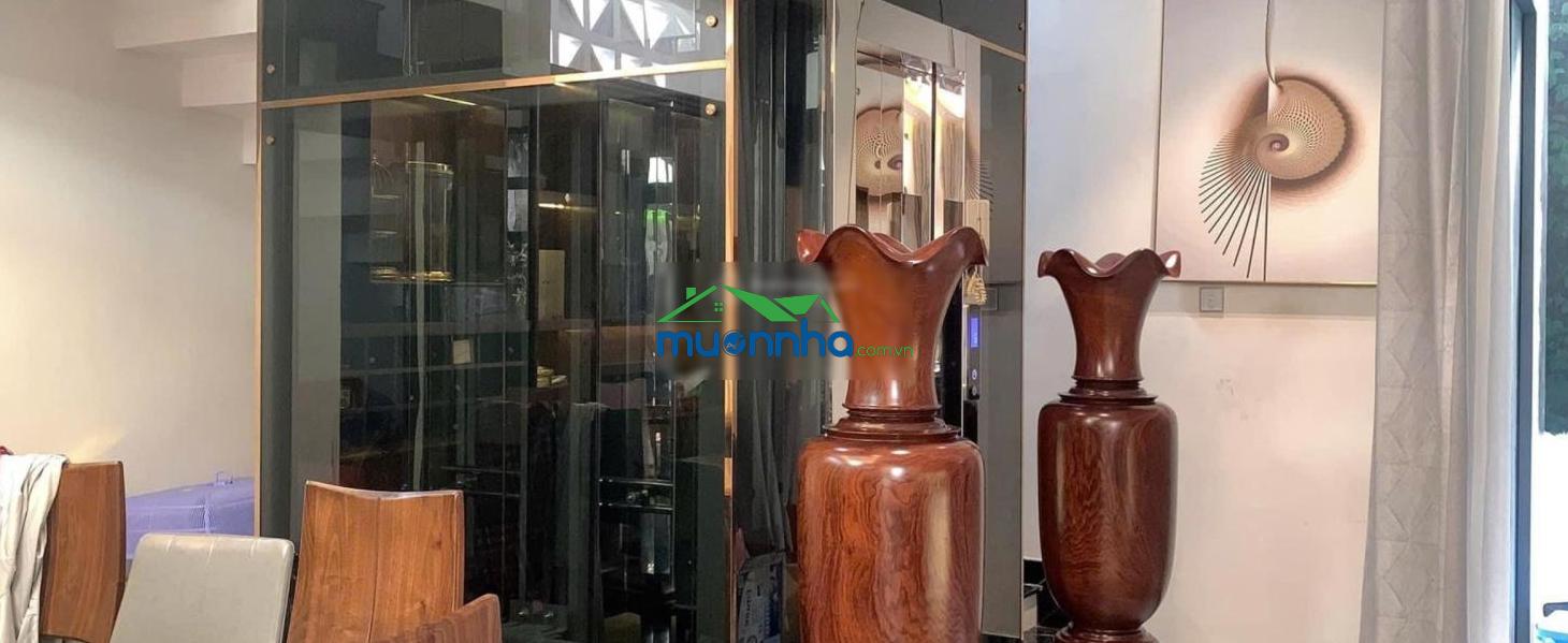 Biệt thự sân vườn tú xương quận 3 - 10x16m trệt 3 lầu sân thượng, thang máy, giá 65 tỷ - 2