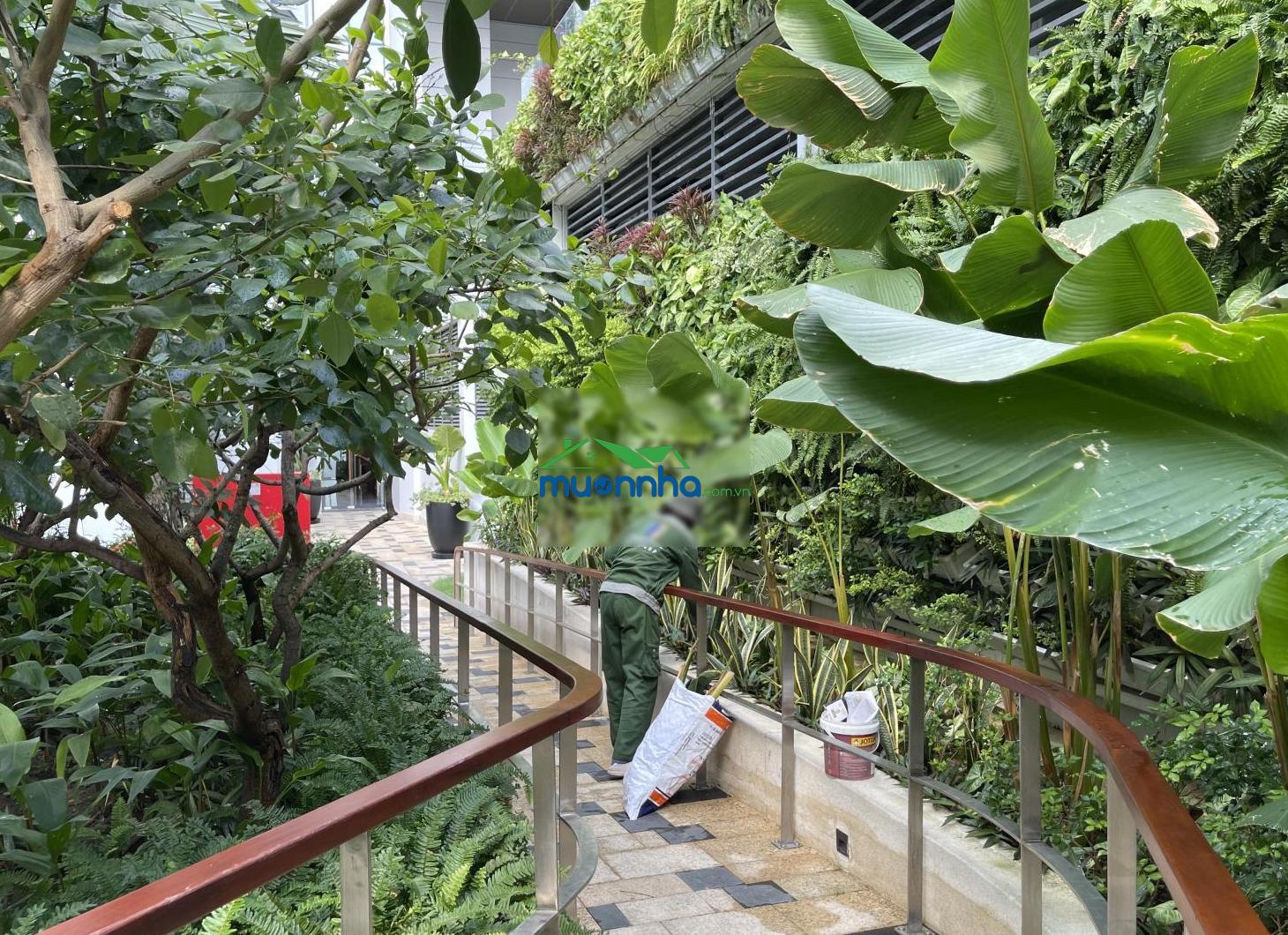 Cho thuê căn hộ 2pn 97m2 thủ thiêm zeit river view sông và lm81 giá 50tr - 2