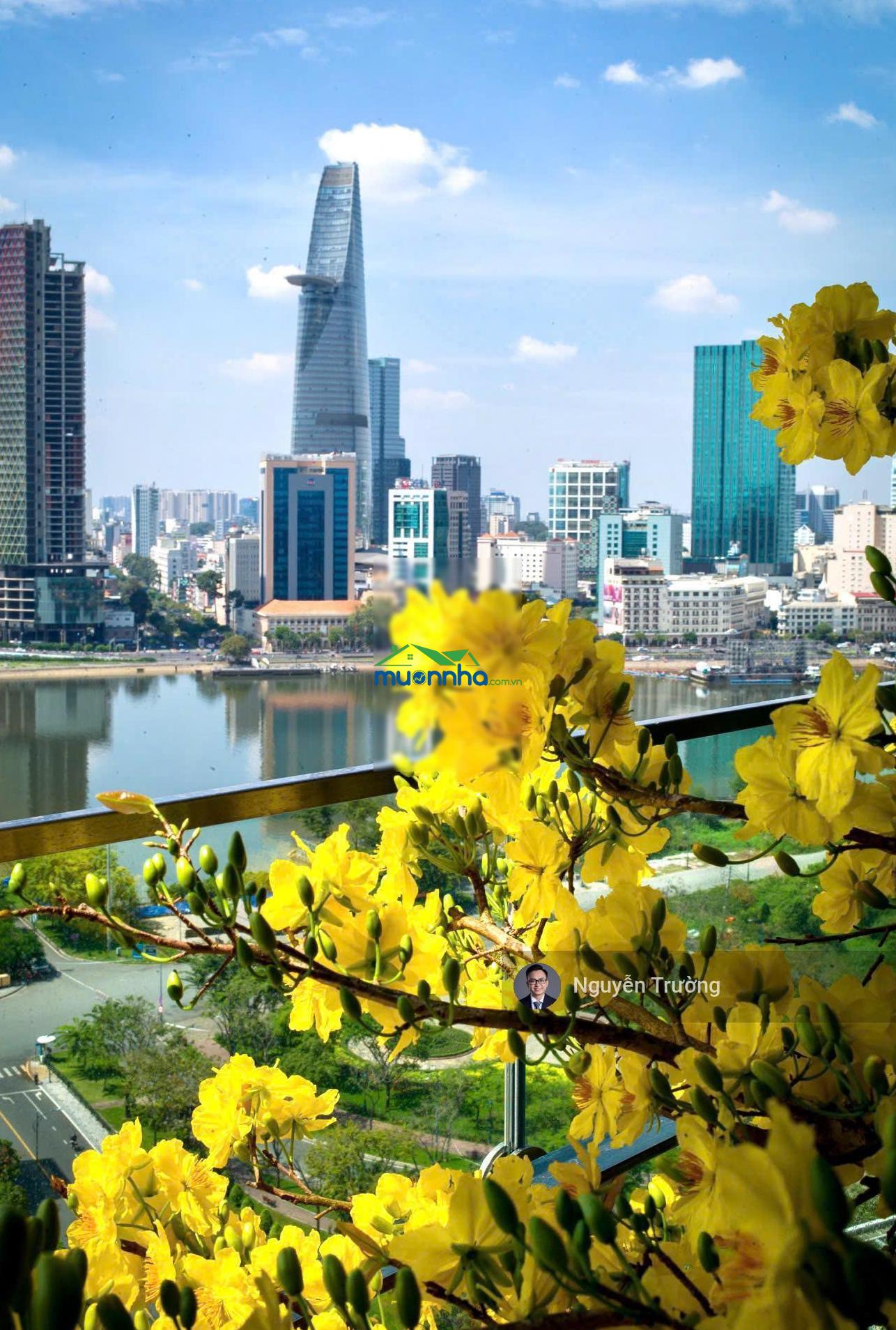Hàng hiếm trục đẹp, bán ngay căn 3pn view sông và pháo hoa trực diện quận 1 siêu phẩm - 2