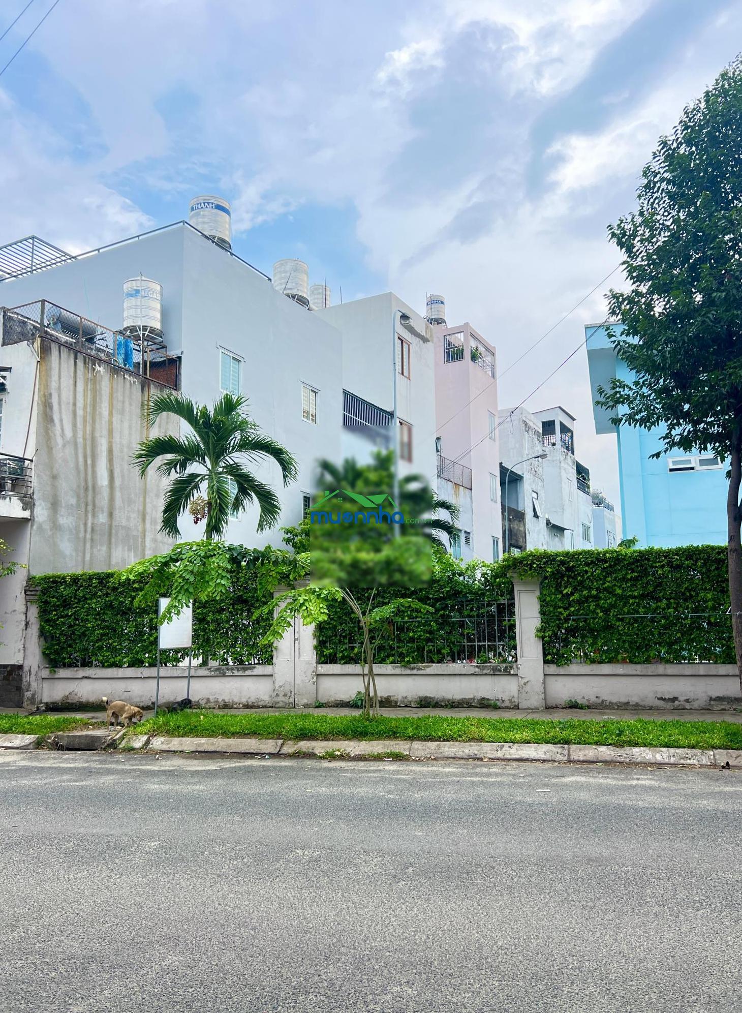 Bán nhà đẹp đường ttn01, quận 12 diện tích: 8x10m ngay trường nguyễn thị định - 4