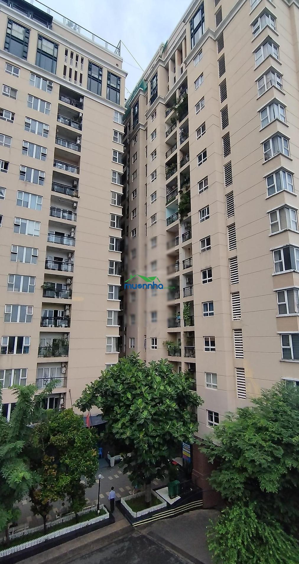 Nhà riêng 31/ phan huy ích, q. tân bình. để ở, kết hợp kinh doanh, văn phòng - 4