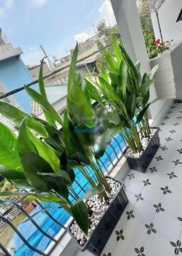 Bán nhà mới đường số 12, bình long tân kỳ tân quý. bình hưng hòa, bình tân. 4 x 14m, giá 5.75 tỷ - 2