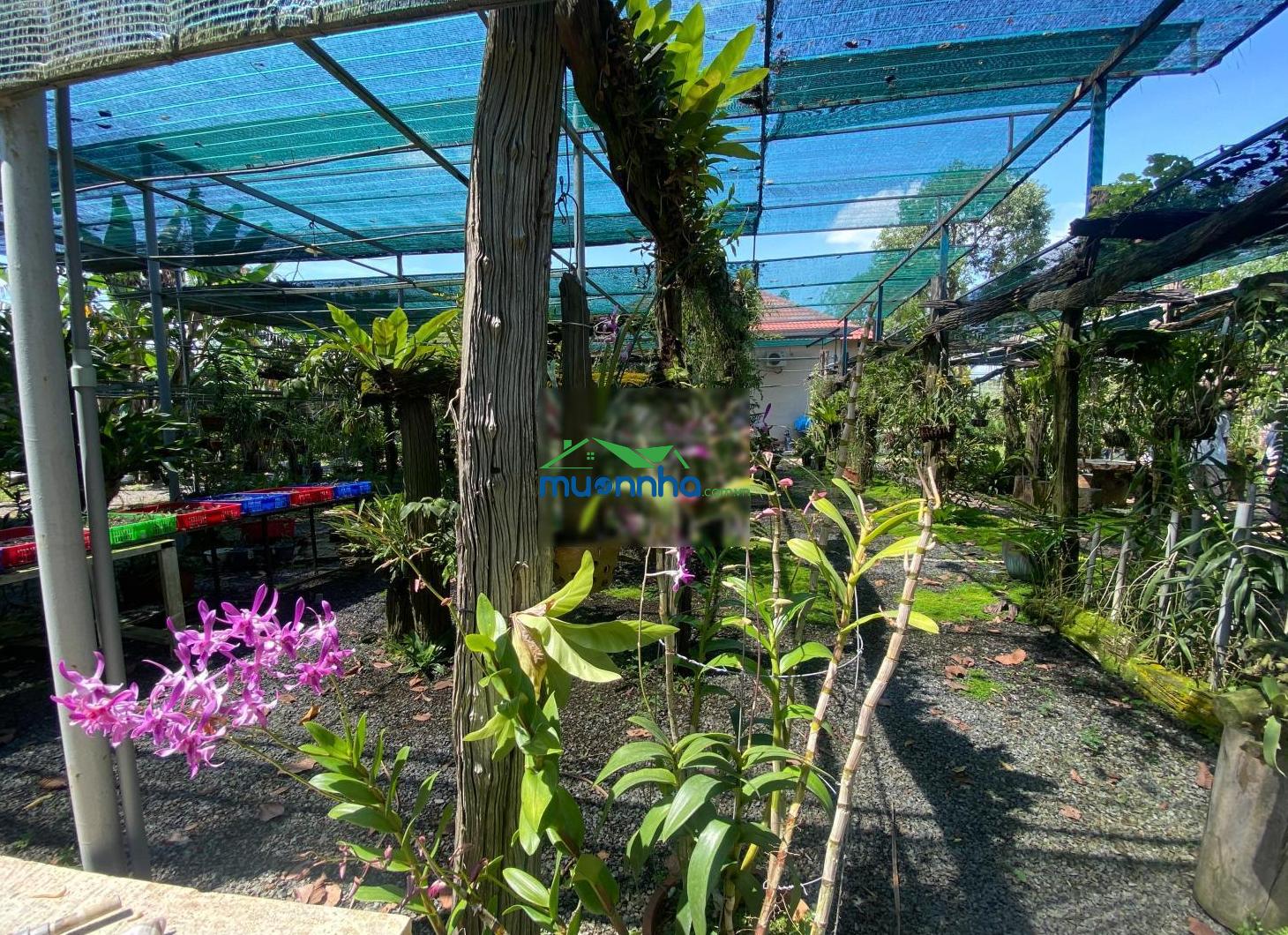 Bán đất nghỉ dưỡng vị trí đẹp trung tâm tp. thủ dầu một đường hồ văn cống - 3