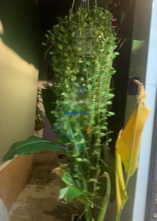 Q1, gần bùi viện - giá: 4,6 tỷ ngang 4,2m, dtsd: 30m2 - 4