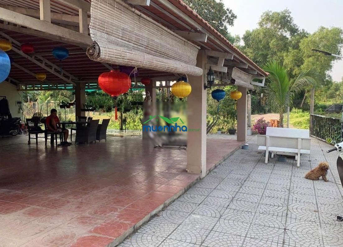 Nhà vườn xã tân nhựt bình chánh 1300m có 300m2 thổ cư - 3