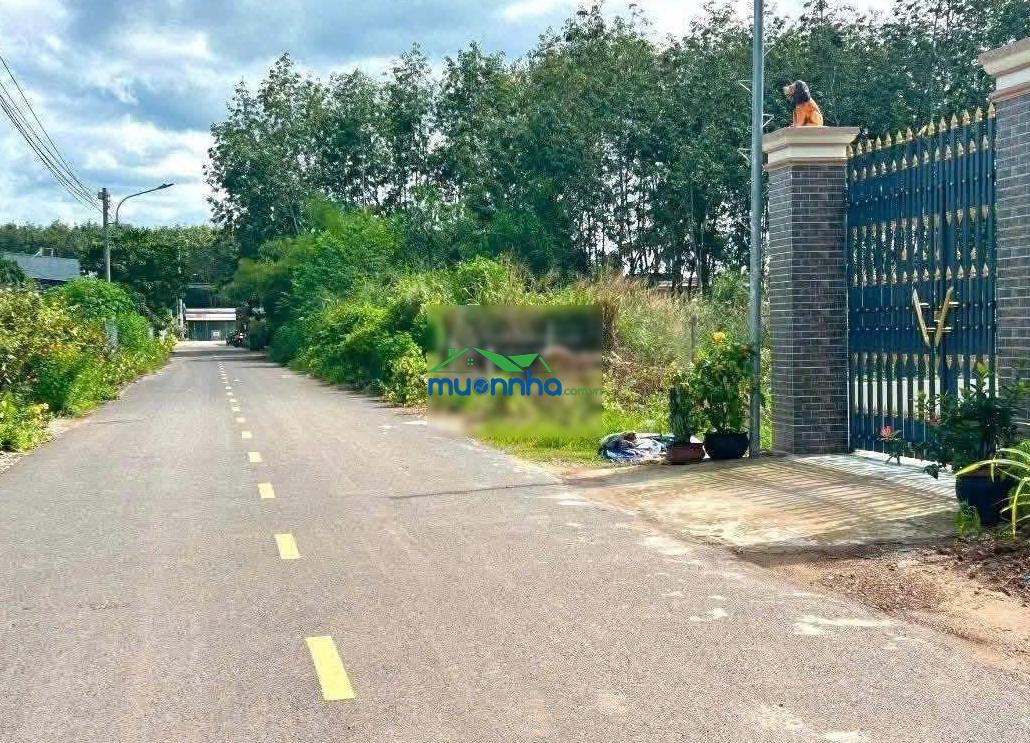 Đất thật - người thật - giá thật. 343.3m2 có 100m2 tc, hiện hữu nhựa 8m. dân cư đông đúc. giá 650tr