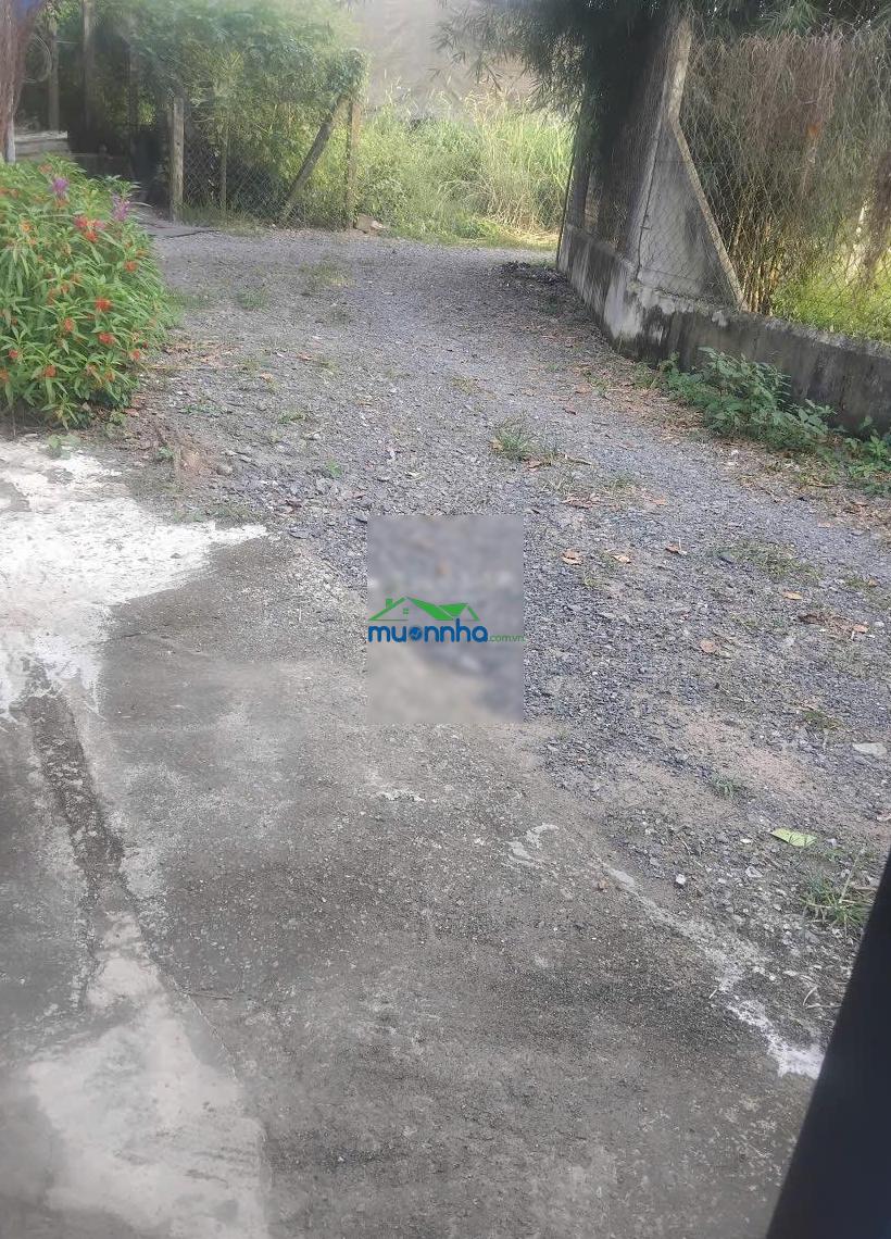 Bán nhà có vườn trái cây 1400m2 thổ 100m2 tại 1/ bùi thị lành, bình mỹ giá ngộp 5,3 tỷ - 3