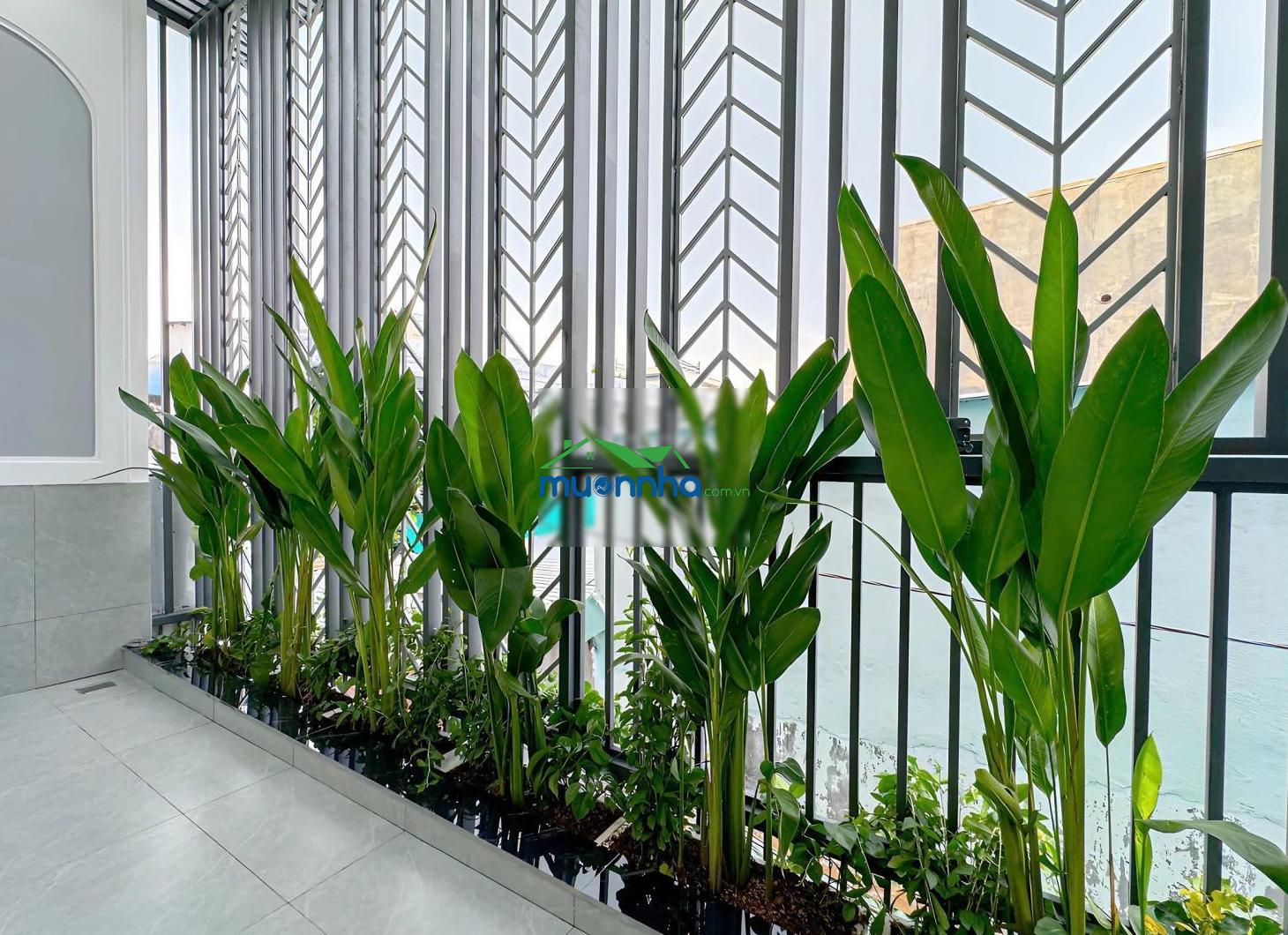 Nhà mới full nội thất - xách valy vào ở ngay - hẻm vip phường tân hưng, quận 7 - 4.5x14 (cn 59m2) - 4