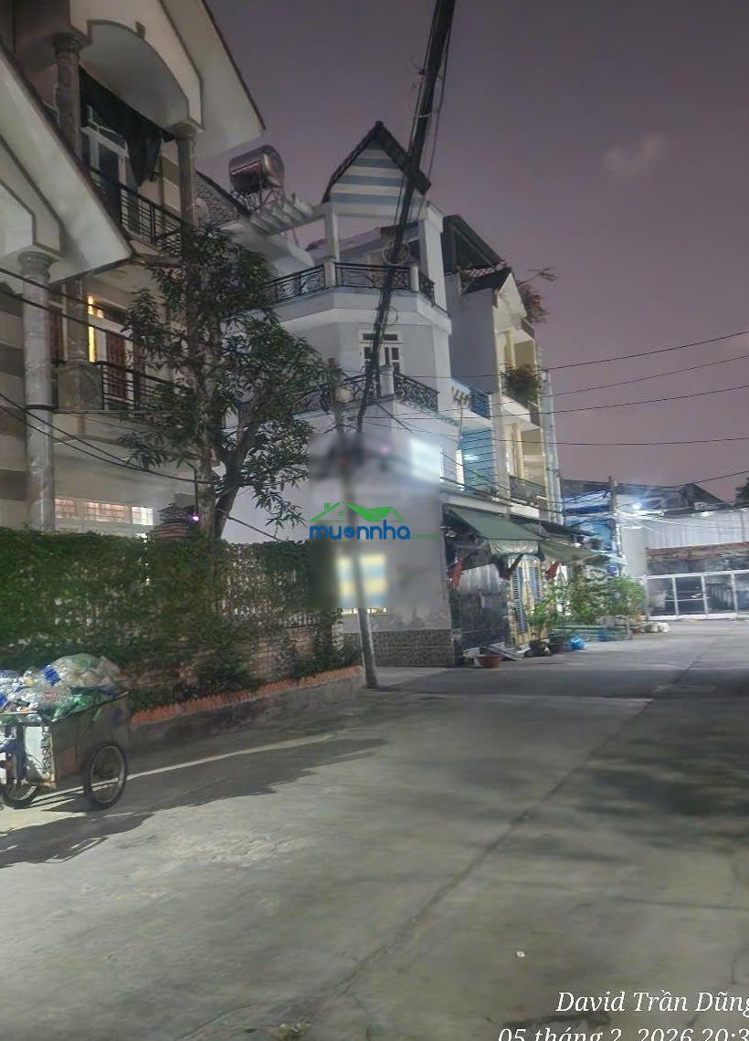Bán căn biệt thự mới đường hoàng lê kha, hồng bàng, chợ cây gõ, quận 6, dt 16x14m, giá 24.9 tỷ - 3