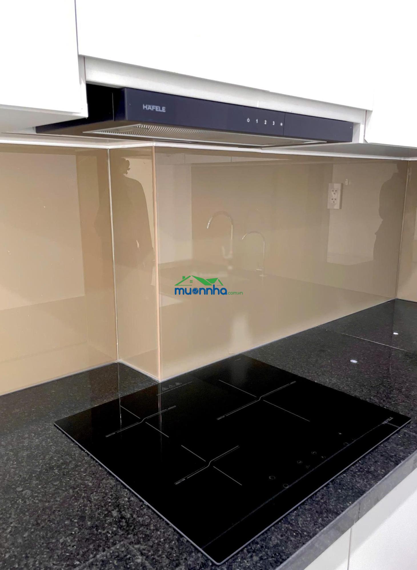 Cho thuê chung cư 2pn 2wc 55m2 (new 100%) view đẹp ngay đường thống nhất - 2