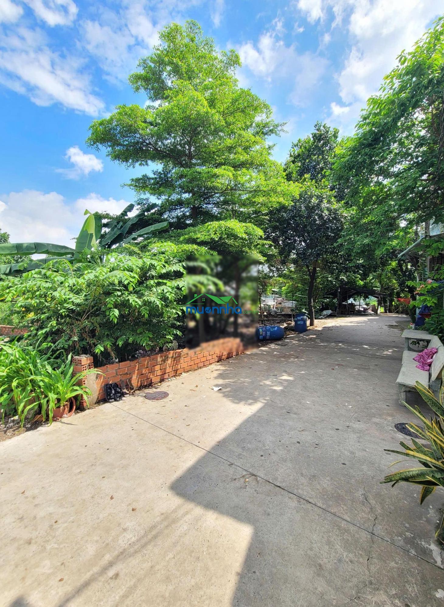 4,25 tỷ - bán đất 190,8m² 2mt trước sau cách đường đoàn thị kia 100m p. tân đông hiệp tp. dĩ an - 4
