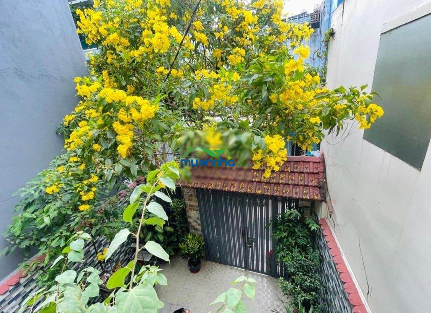 Nhà 1 đời chủ, gấp bán. dt 5.4 x 18m. vị trí đẹp, hẻm xe hơi gần mặt tiền. - 3