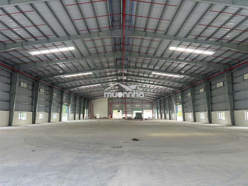 Cho thuê nhà xưởng mới xây dựng tại dầu tiếng, bình dương