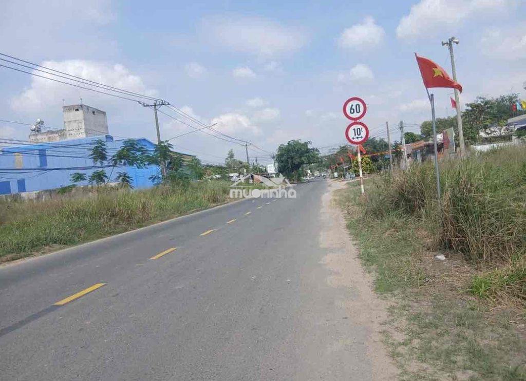 Đất vườn giá rẻ tp.hcm - 4