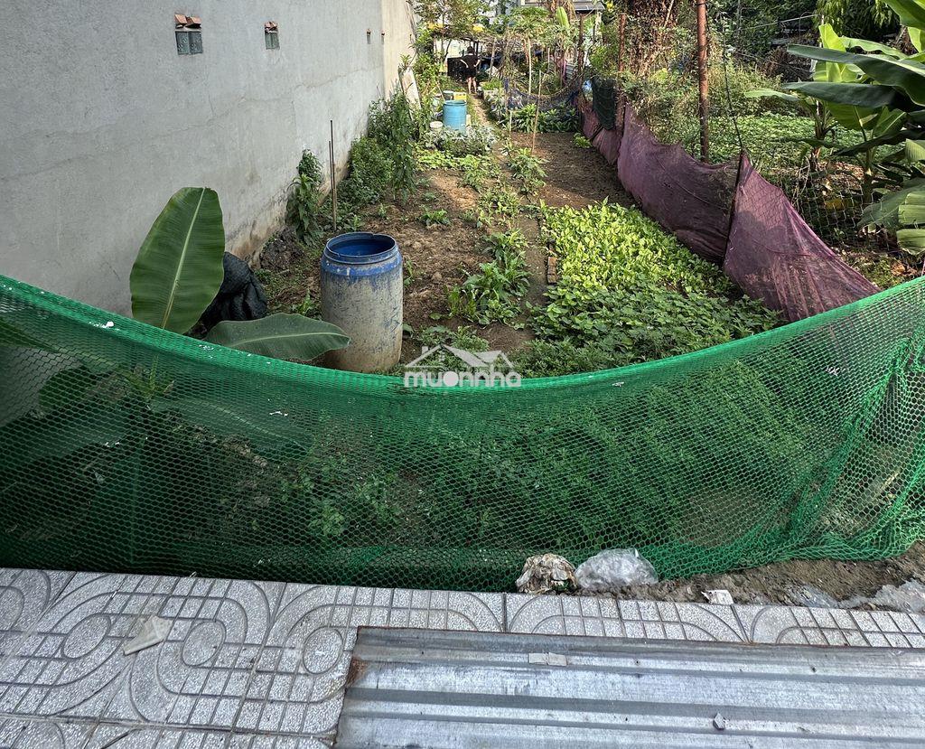 Bán đất nền khu dân cư 610, đường tân lập. p. đông hoà. - 3