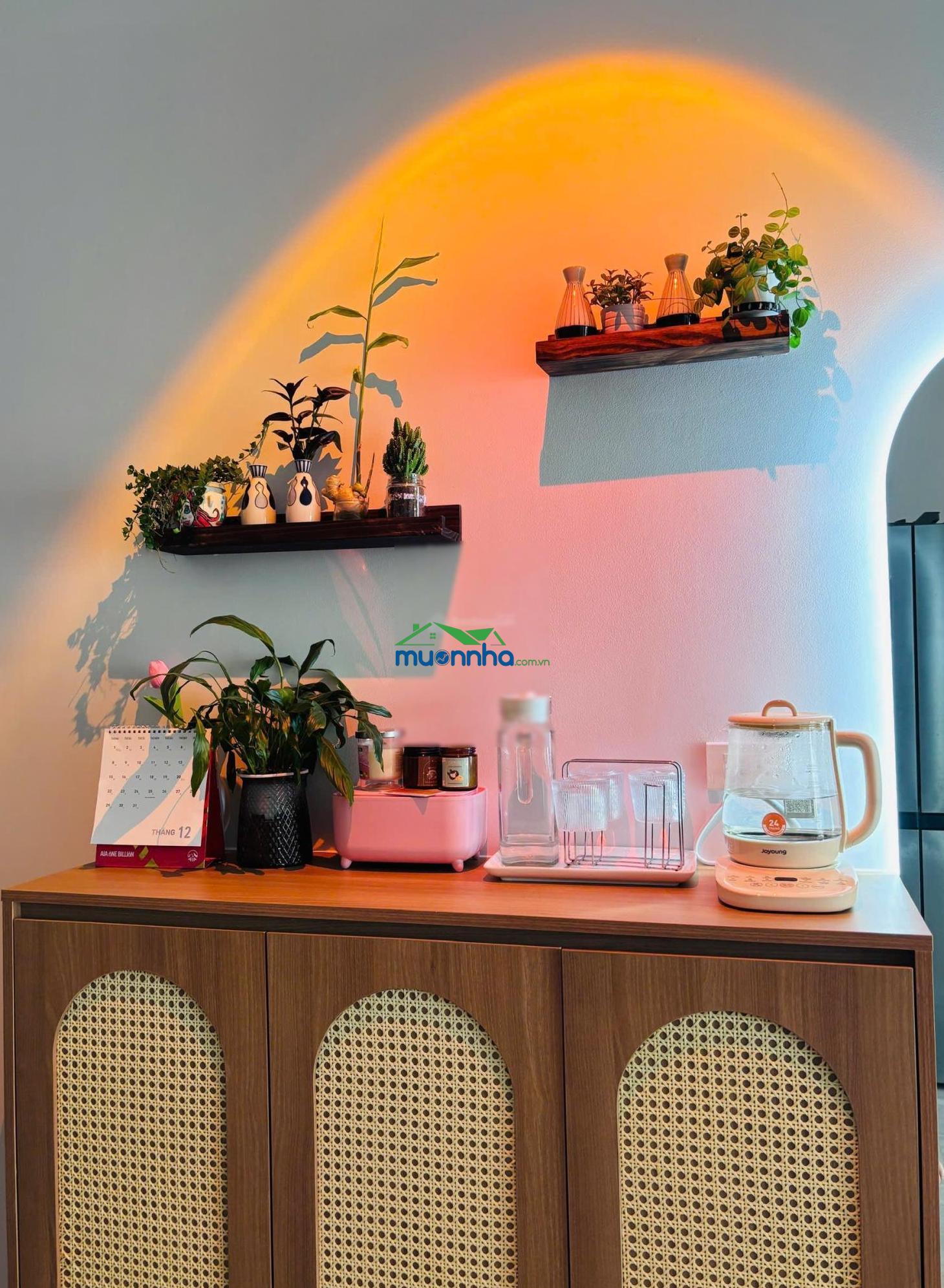 Cho thuê căn hộ cc bcons city, 8 triệu, 50 m2, 2pn, 2wc, hướng tây nam - 2