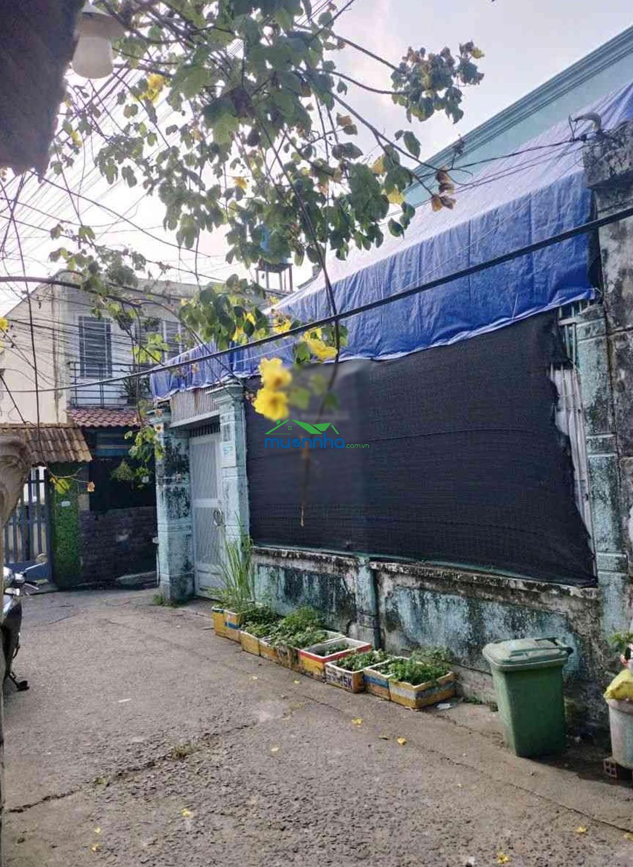 Nhà q12 101m2 chỉ 3tỷ hơn còn thương lượng - 2