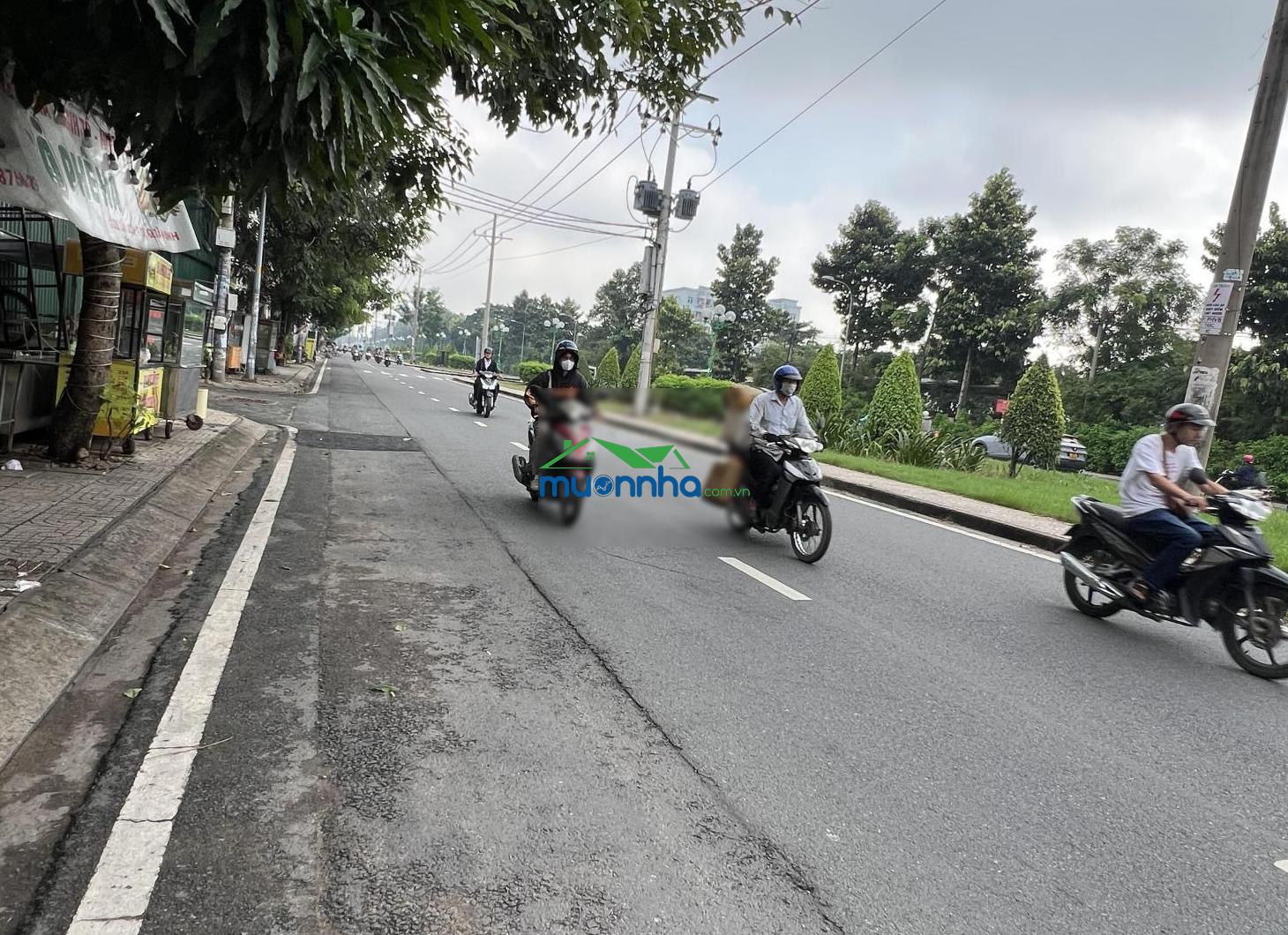 Nhà cấp 4 hẻm xe tải 7m trục tân sơn thông phạm văn bạch - 3