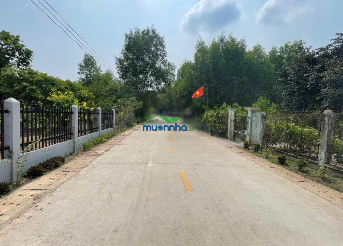 Chính chủ gửi bán đất đường tân thành 52 (288.6m² gần full thổ cư gần kcn, giá tốt) - 3