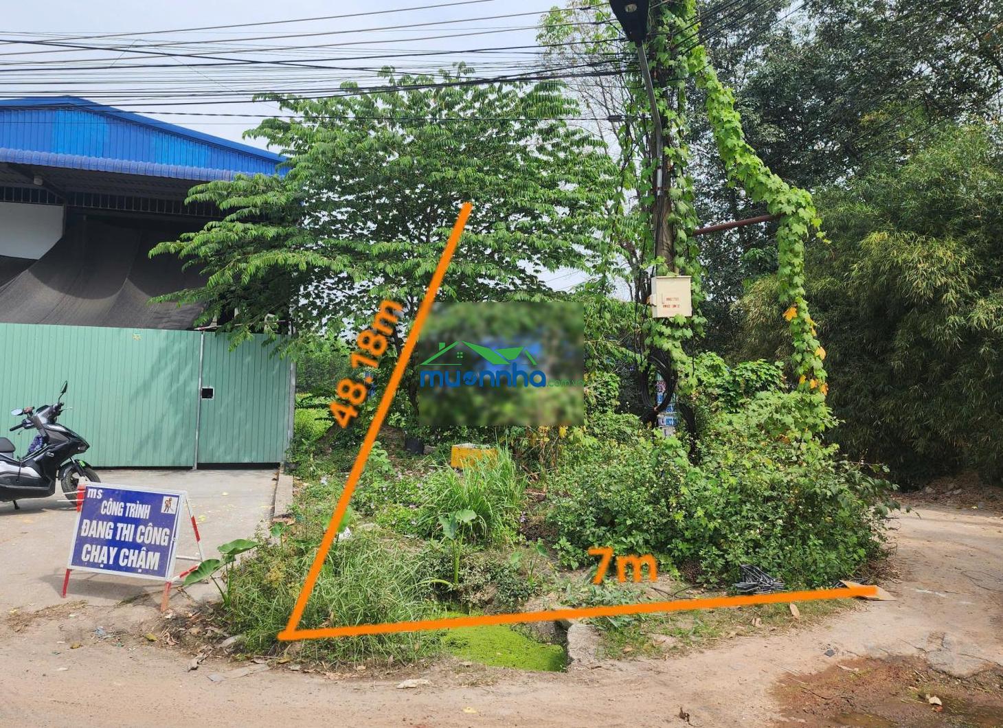 Lô góc 346,7 m² mặt tiền 7m đường đx-14, phường tân vĩnh hiệp, tp tân uyên, bình dương - 3