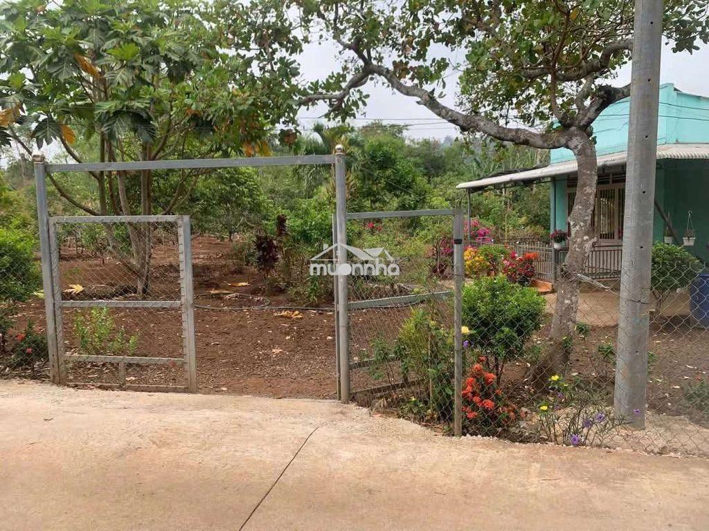 Chủ cắt lỗ bán nhà và vườn diện tích hơn 1 sào - 4