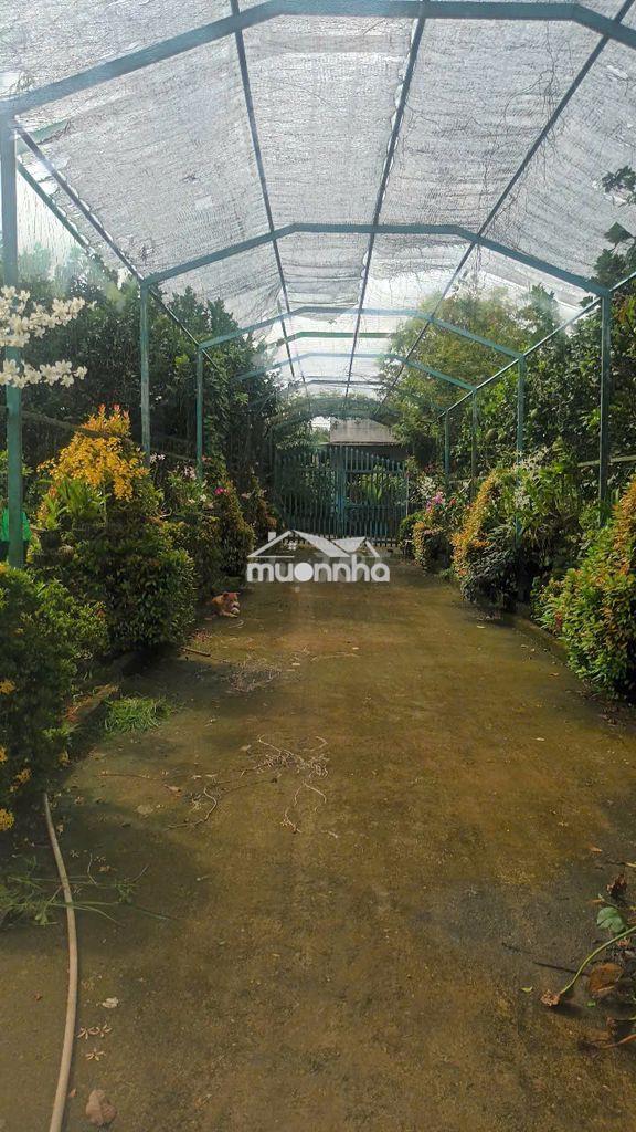 Đất nền thổ cư trên đường sông thao, đồng nai, diện tích 4845m², 10 tỷ - 2