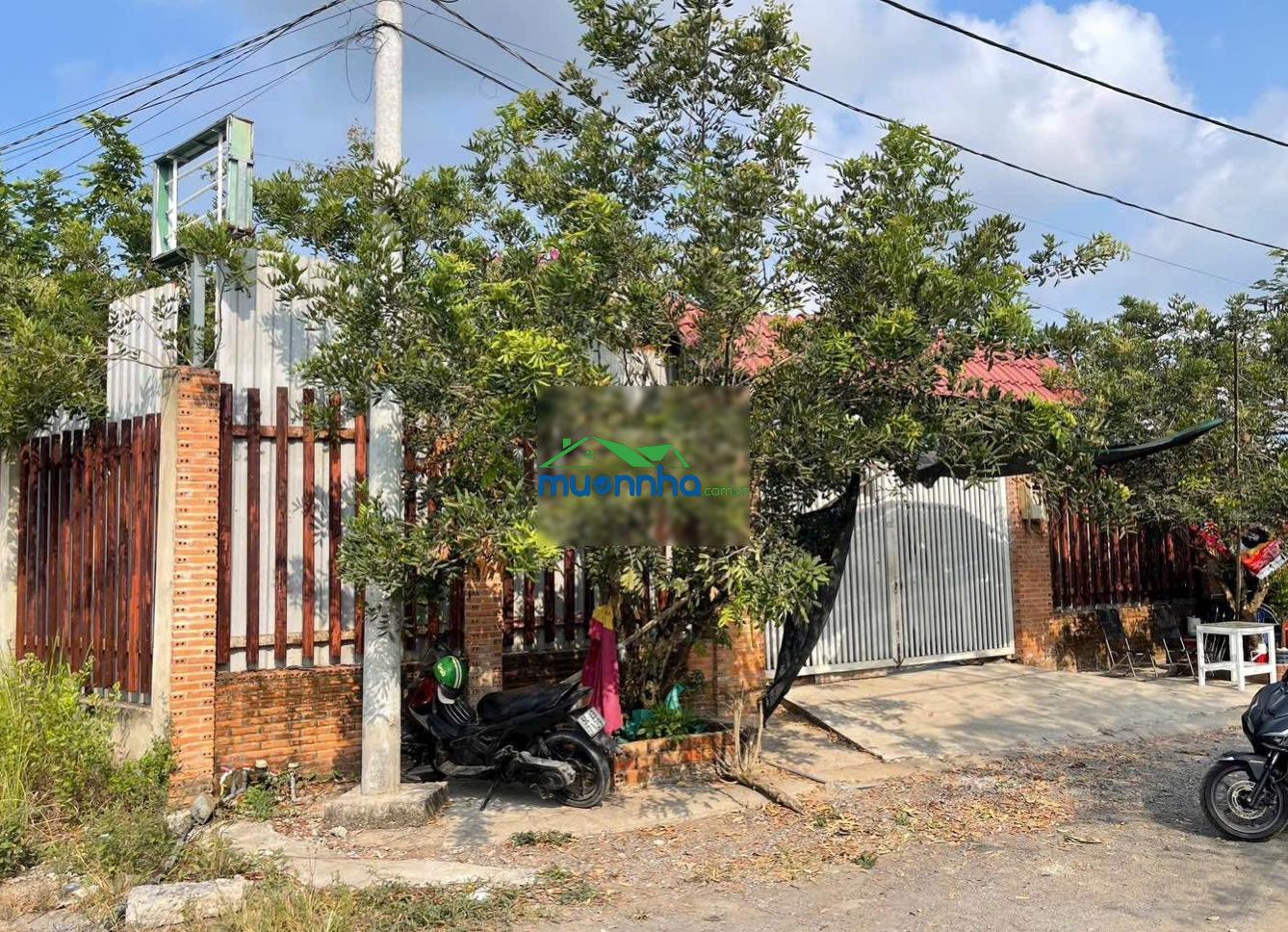 Siêu phẩm nhà vườn hơn 1.400m - lô góc 2 mặt tiền chỉ 11 tỷ - 4