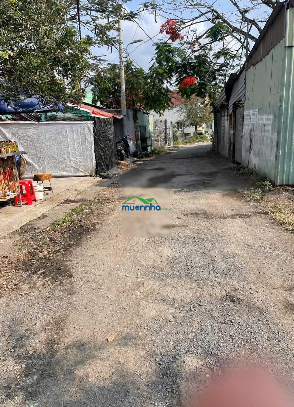 Siêu phẩm nhà vườn hơn 1.400m - lô góc 2 mặt tiền chỉ 11 tỷ