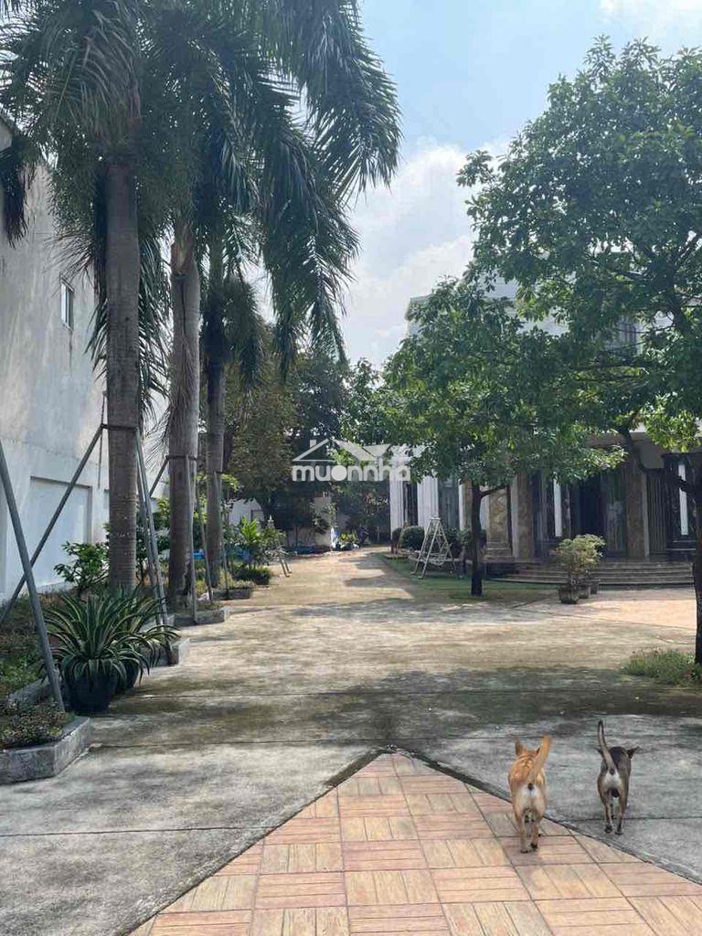 Bán biệt thự sân vườn 1905,5m ngay trung tâm phường tân uyên dt 747 - 4
