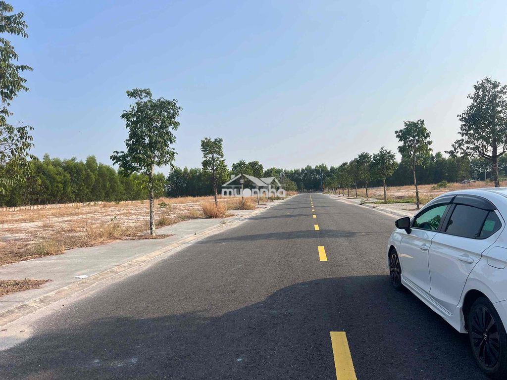 Bán lô đất mặt tiền becamex chơn thành: 5x30m - 3