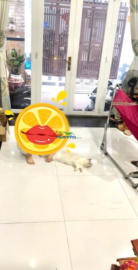 Nhà 4 tầng đúc 4x7 sổ hồng riêng 4,98 tỷ còn tl ngay chủ - 4