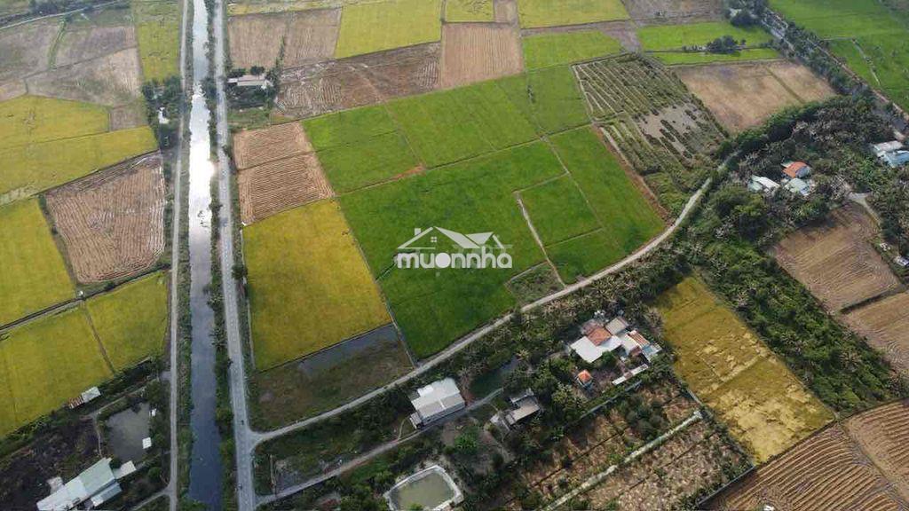 2000m2 đất nông nghiệp - tân nhựt - 3