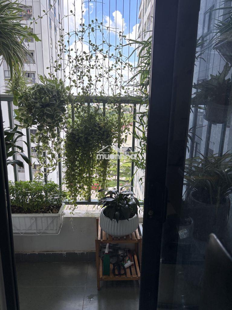 Cho thuê cc hoà bình,đầy đủ nôi thất ,bình dương, 2 pn 2wc - 2