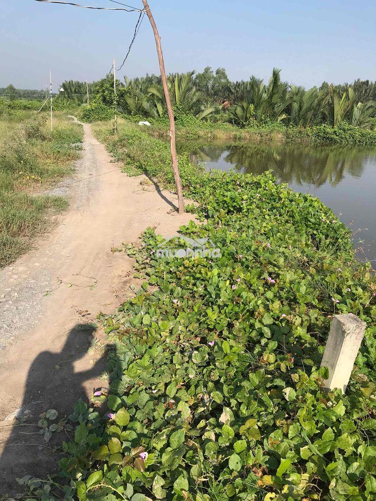 Bán đất 3000m2 ngang 60m đường xe 7 chỗ tại xã phước vĩnh đông - 4