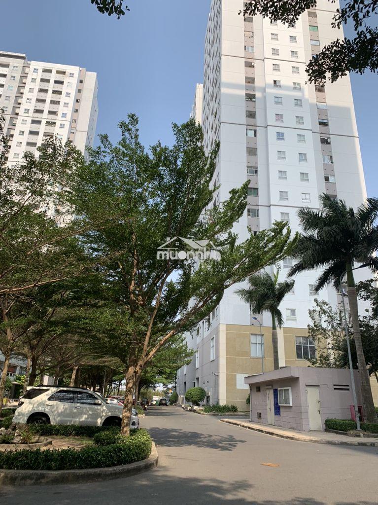 Hàng thanh lý chủ đầu tư,pháp lý chuẩn,khách yên tâm - 4