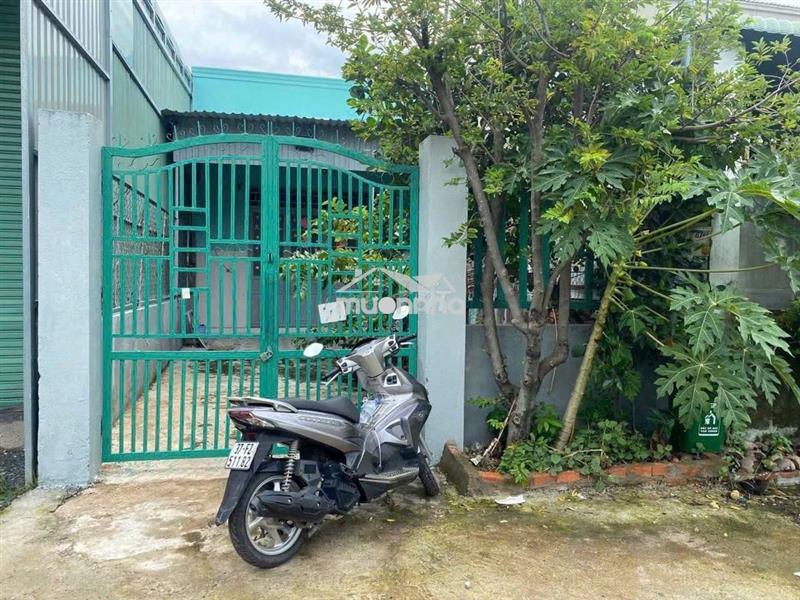 Cho thuê nhà phường trảng dài giá 3 triệu