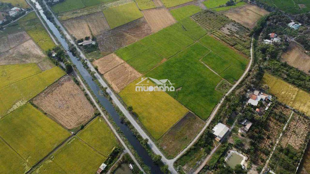 2000m2 đất nông nghiệp - tân nhựt - 2