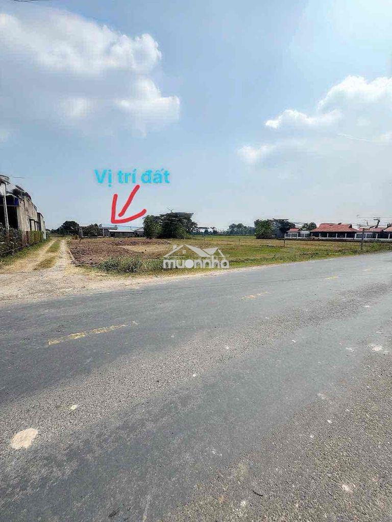 Bán đất 5x20 giá 750tr gần nhựa