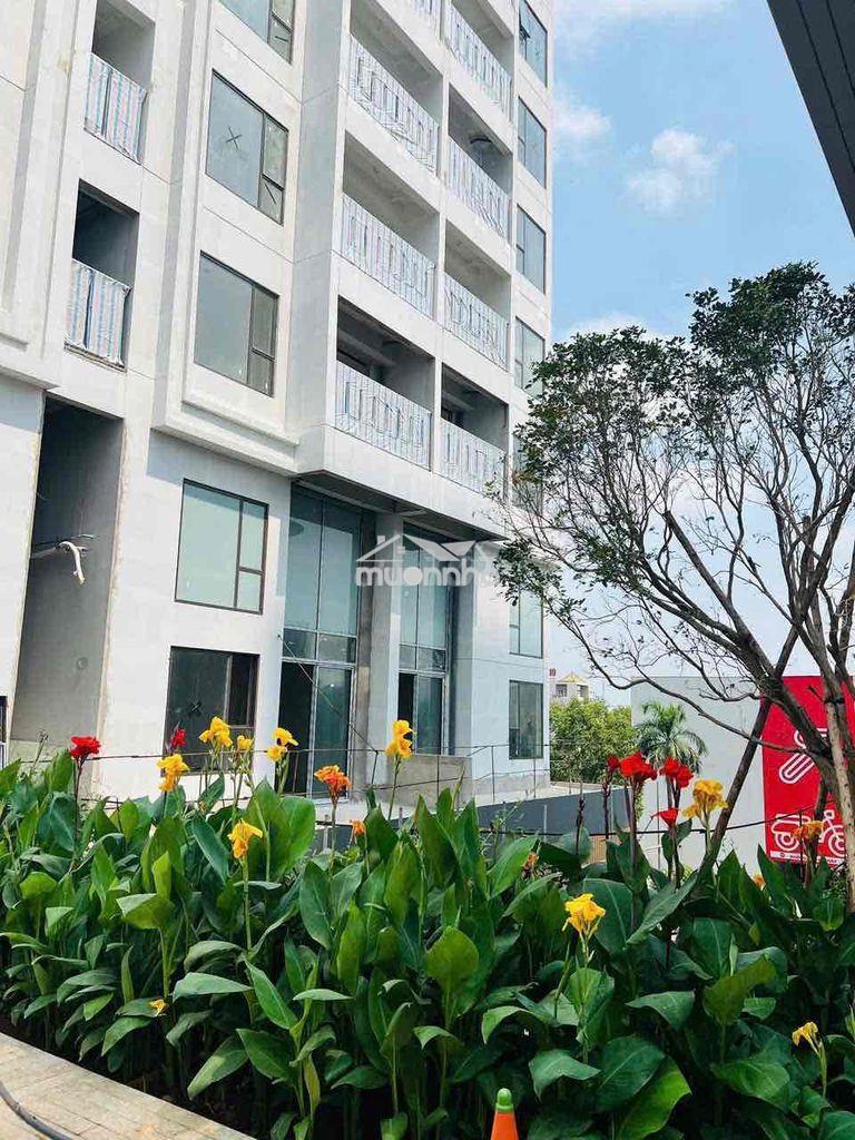 🌿 Terrace duplex green skyline – biệt thự sân vườn trên không 🌿