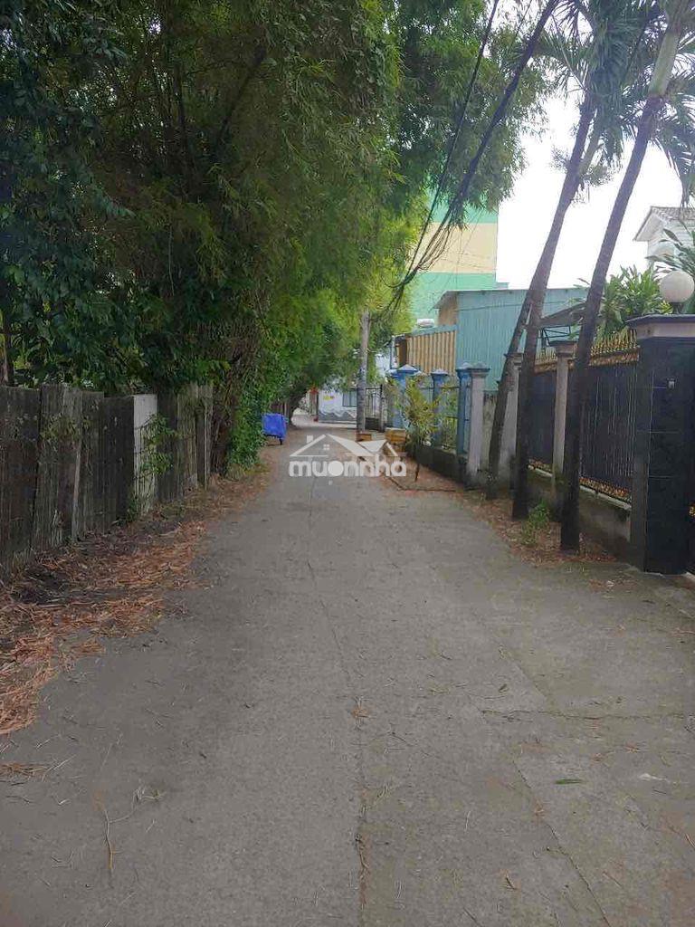 Nhà hẻm xe hơi tránh nhau, khu dân cư yên tĩnh - 2
