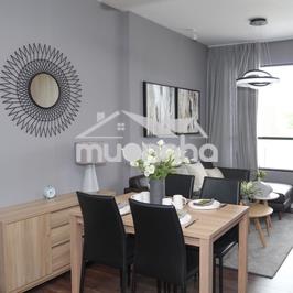 Cho thuê căn hộ view pháo hoa khu đô thị nhật - mizuki giá 11 tr - 2