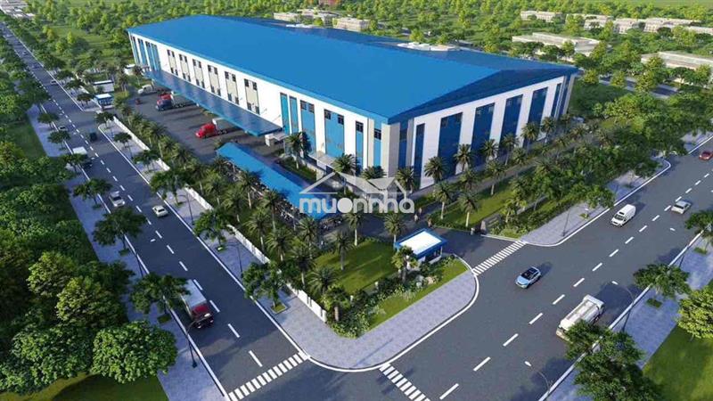 Cho thuê nhà xưởng thủ đức