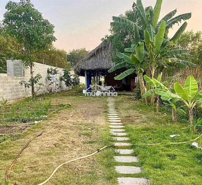 ĐẤT VƯỜN GIÁ RẺ