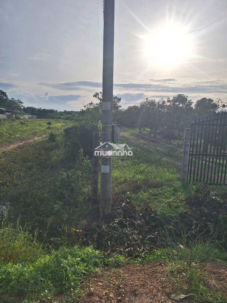 Đất nền thổ cư tại xóm mới, xuân thành, đồng nai, diện tích 12.470m² - 4