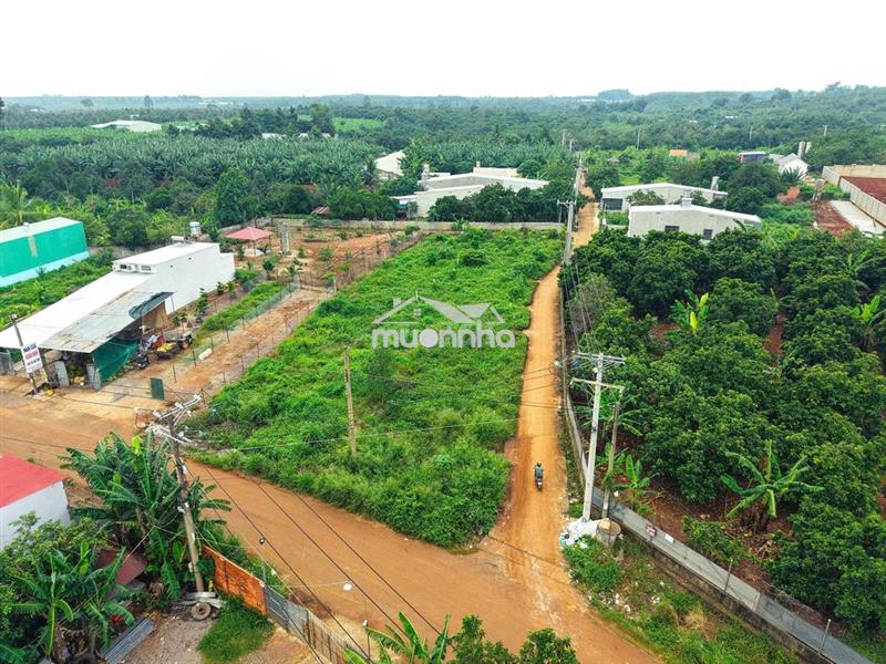Kẹt tiền bán gấp. 100m2 286 triệu chuyển nhượng luôn, thqg nguyễn du