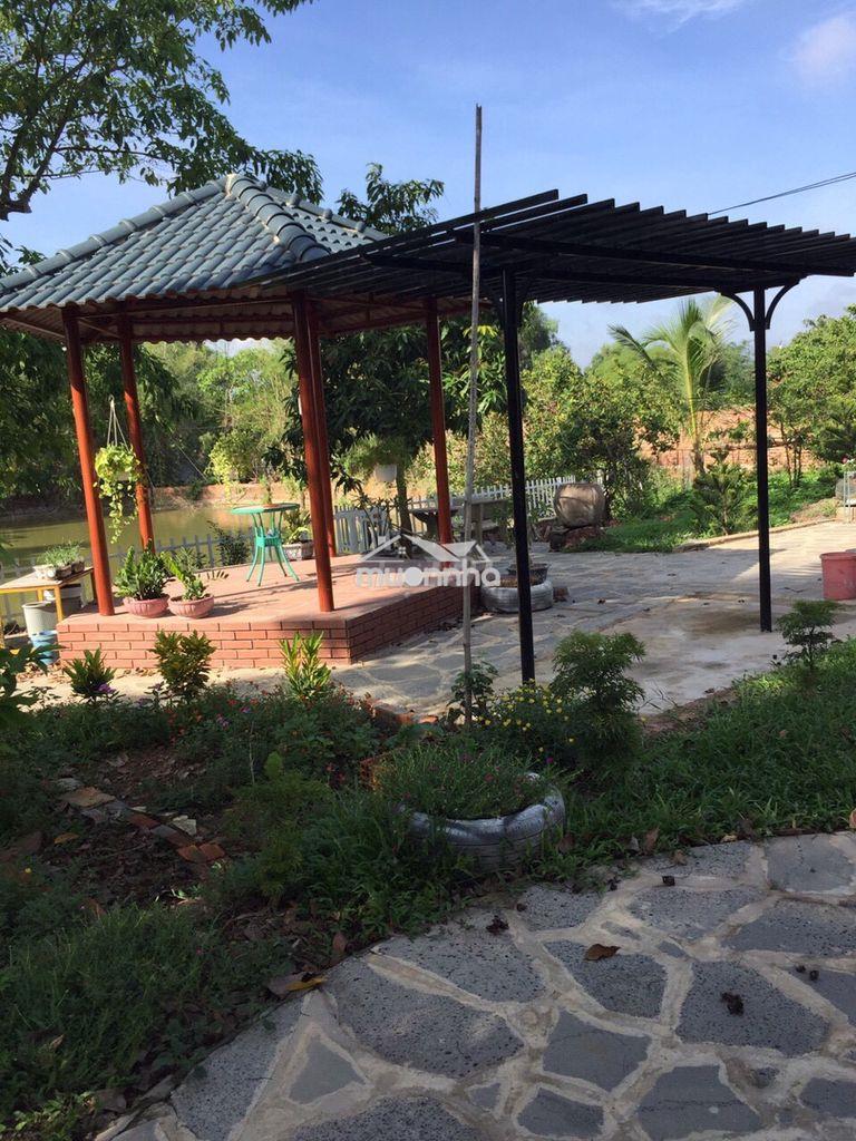 Bán nhà ở có ao vườn 1.800m² - 2