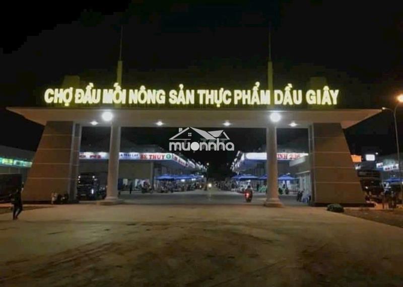 Sở hữu đất nền ngay tại tt phường dầu giây tp đồng nai chỉ 300tr