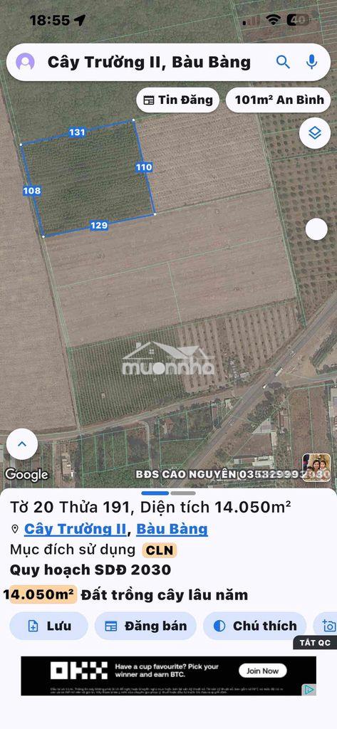 Bán đất làm kho xưởng hoặc chia lô - 2