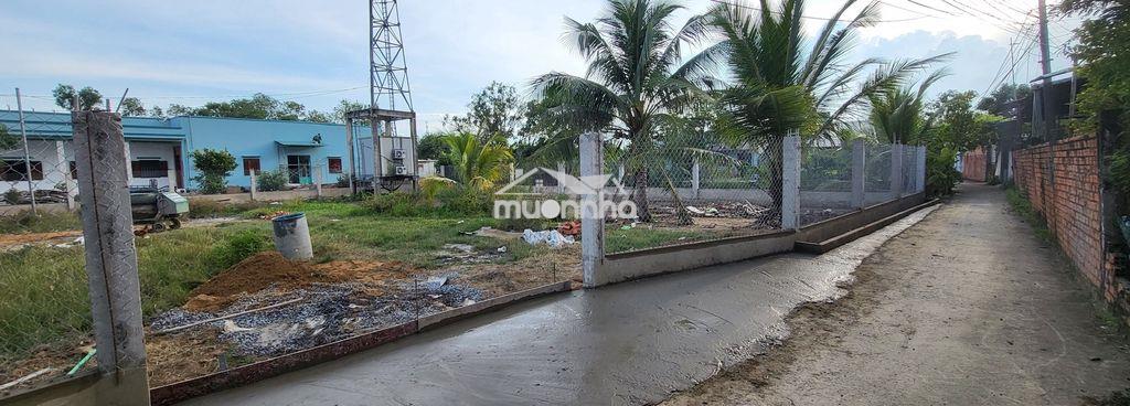 1170m2 khu phố 3 trung tâm tân nhựt (sẵn thổ cư) gần nhiều tiện ích - 2