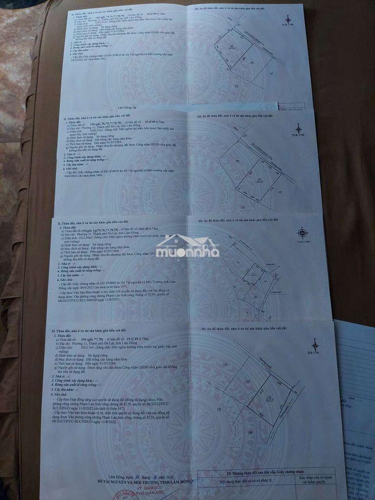 Bán 1 hoặc trong 3 lô đất sổ riêng nn mỗi sổ hơn 1000m2 p11 tp đà lạt